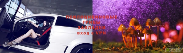 mdpv Алзамай