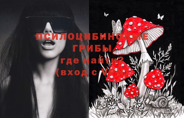 ешки Алексин