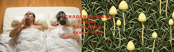 ешки Алексин