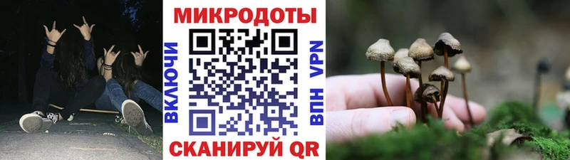 купить наркотик  Липки  Галлюциногенные грибы прущие грибы 